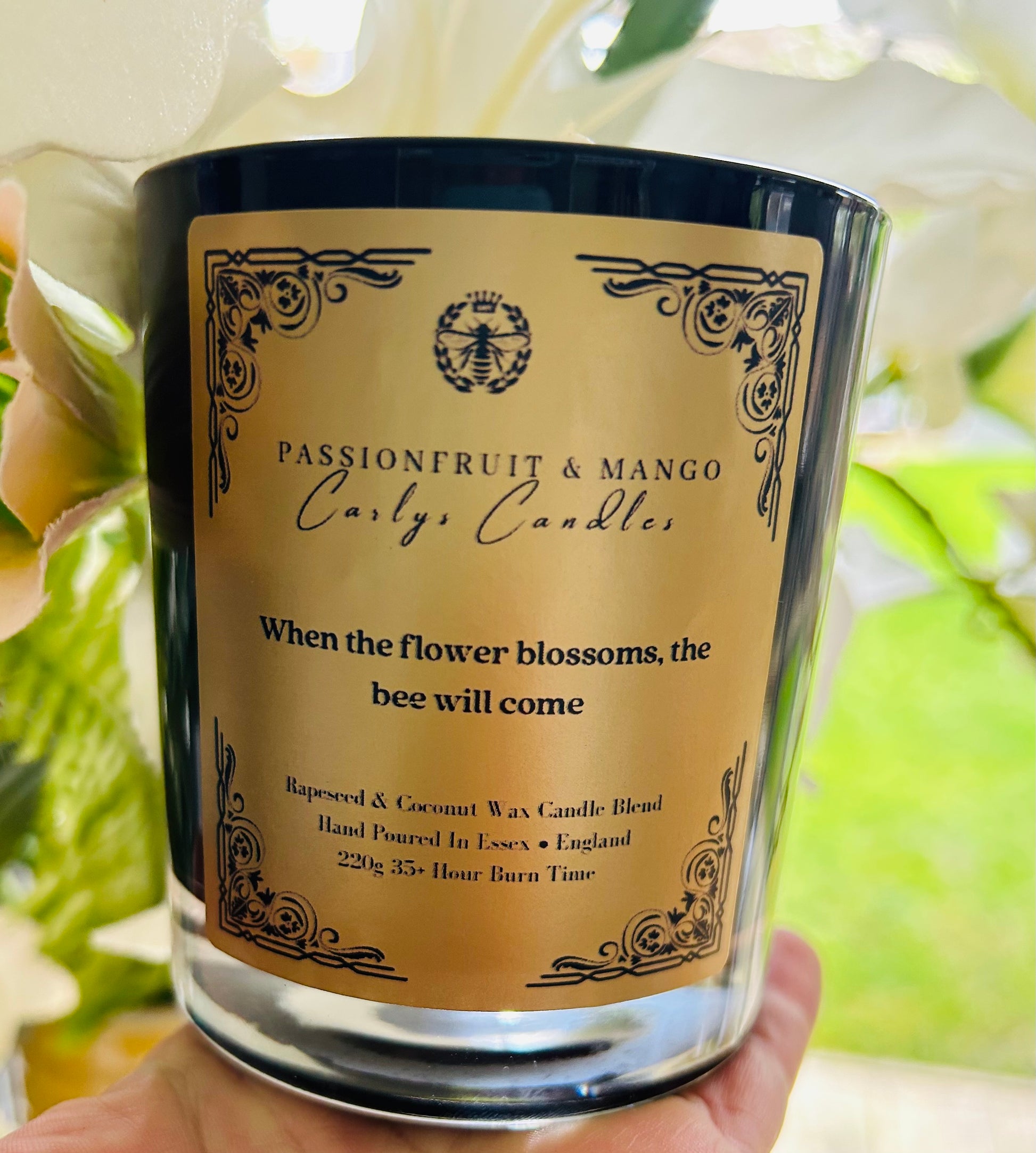 Passion Fruit & Mango coconut & Rapeseed Candle - Carly's candles & wax melts